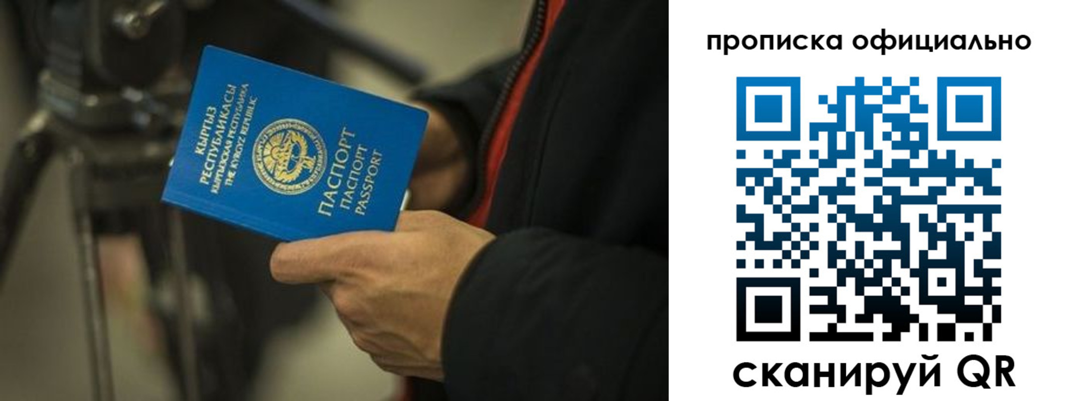 прописка в Щёкино
